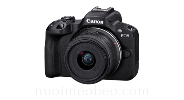 Canon EOS series