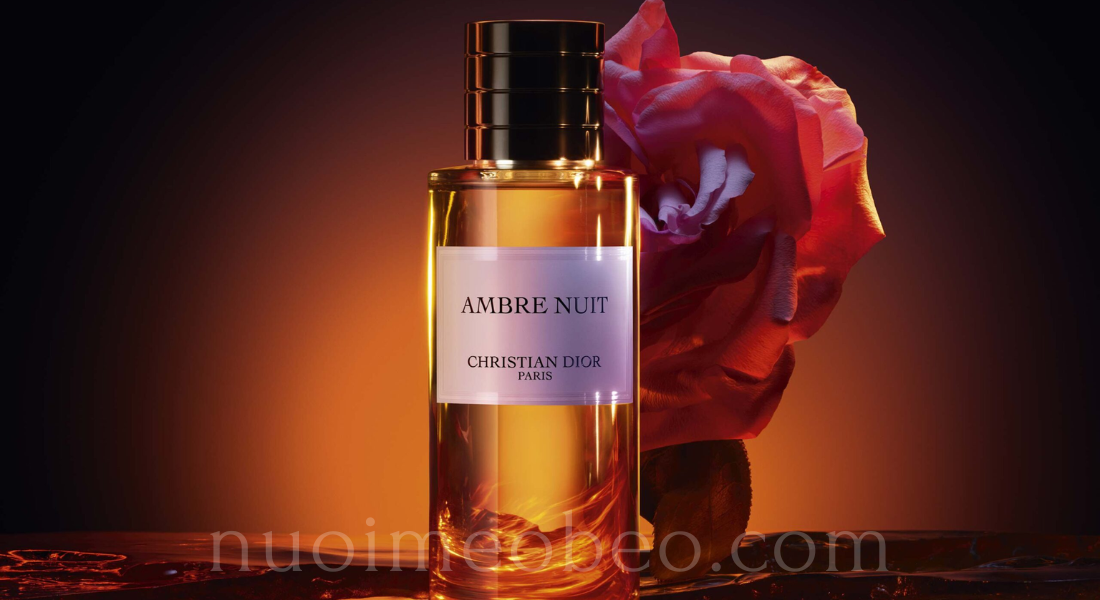 Dior Ambre Nuit